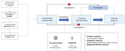 Genetic evidence strengthens the connection between gut microbiota and gingivitis: a two-sample Mendelian randomization study